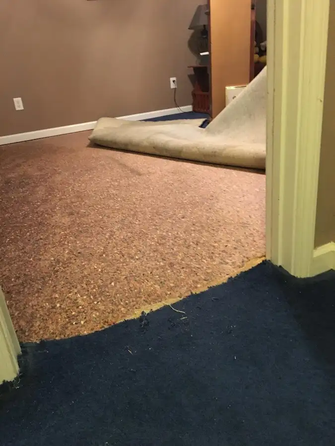 Carpet pad removal revealing water damage during Drying & Dehumidification in Swartz Creek